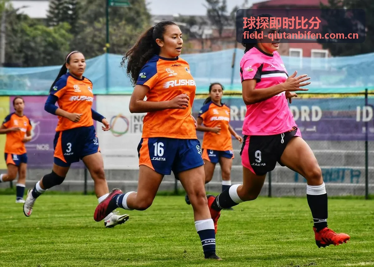 球探即时比分积分榜排名与升降级区域分析